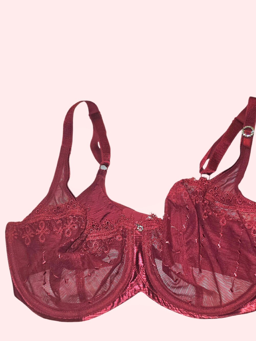 Embroidered Unlined Red Sheer Lace Underwire Bra